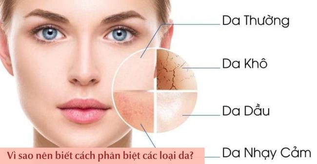 Các loại mụn phổ biến và nguyên nhân gây mụn